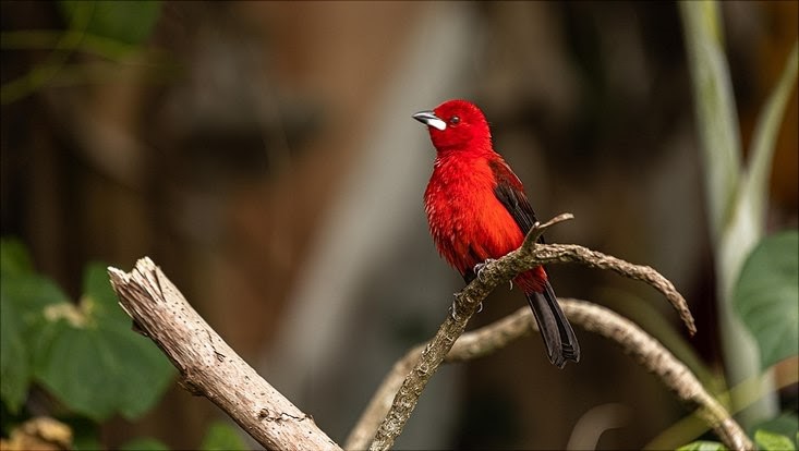 D Alvesd-unsplash D Alvesd-unsplash